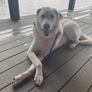 Fundraising Page: Rebecca Wright